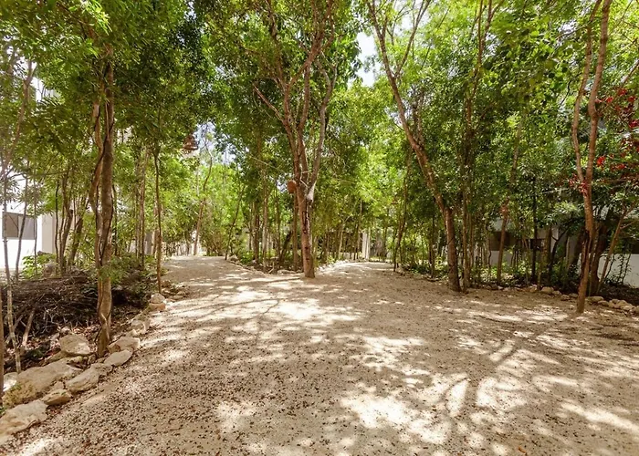 Family Retreat For 8 300 Mb 2 Gyms 6 Pools Playa del Carmen